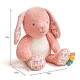 Sweetie Snuggles Plush Pink Bunny